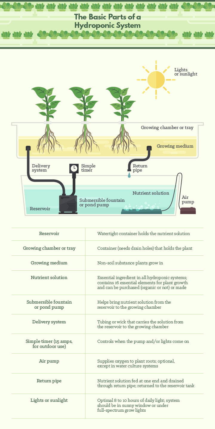 ... the basic parts and six different types of hydroponics systems