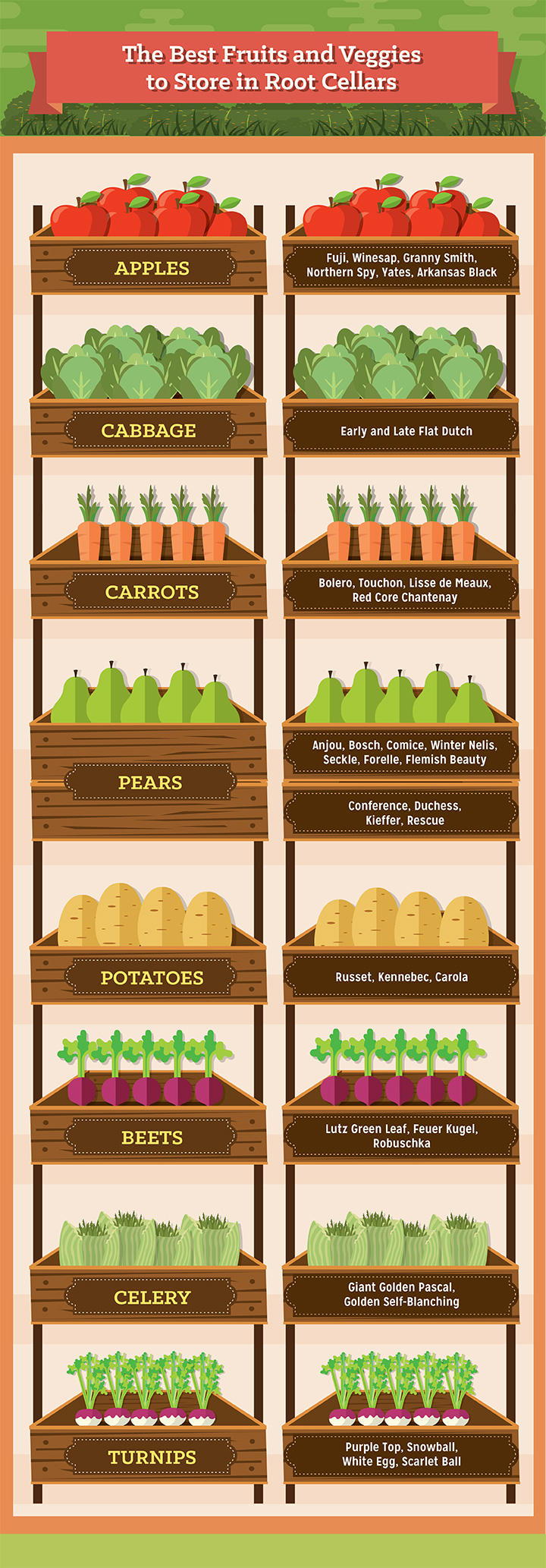 The Best Fruits and Veggies to Store in Root Cellars
