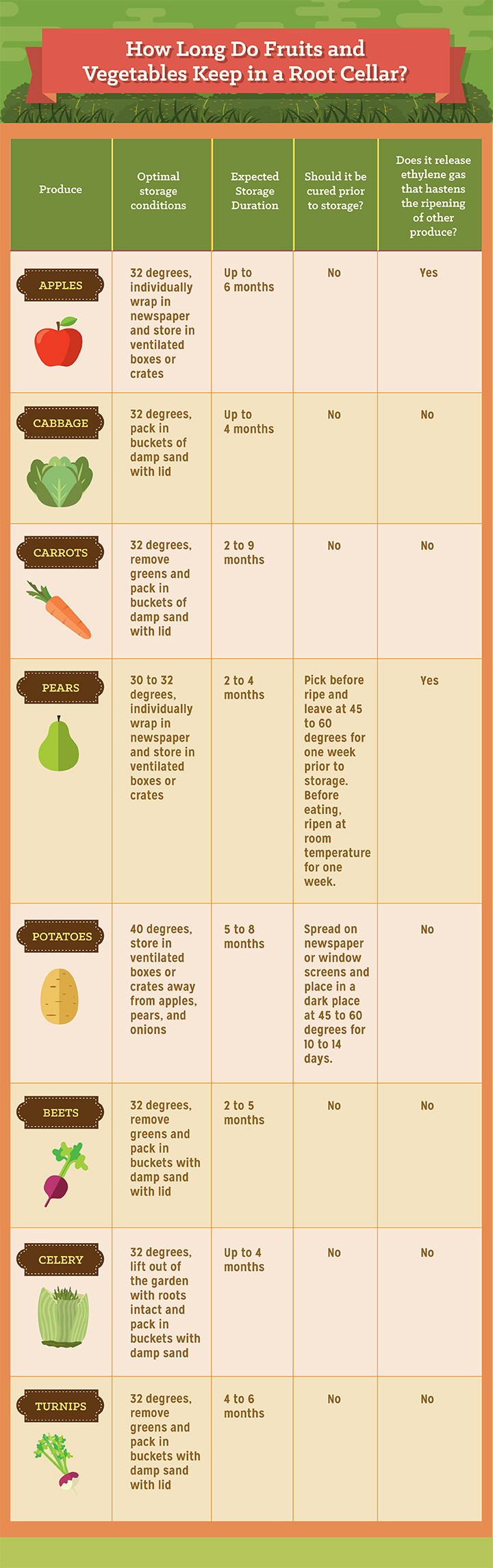 How Long Do Fruits and Vegetables Keep in a Root Cellar